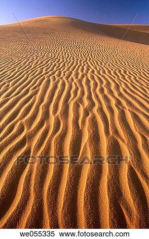 Sand dunes in desert, Grand Erg Oriental, Sahara. Algeria View Large Photo Image Stock Photography - Sand dunes in desert, Grand Erg Oriental, Sahara. Algeria. Fotosearch