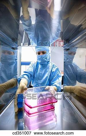 Stock Photo - SAS window, clean room, culture container, DMEM (Dulbeco's Modified Eagle's Medium), biopharmaceutical lab, development and production of innovative drugs using adult stem cells, Cellerix, Grupo Genetrix, Madrid. Fotosearch