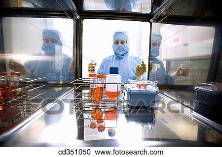 SAS window, clean room, DMEM (Dulbeco's Modified Eagle's Medium), biopharmaceutical lab, development and production of innovative drugs using adult stem cells, Cellerix, Grupo Genetrix, Madrid View Large Photo Image Stock Image - SAS window, clean room, DMEM (Dulbeco's Modified Eagle's Medium), biopharmaceutical lab, development and production of innovative drugs using adult stem cells, Cellerix, Grupo Genetrix, Madrid. Fotosearch