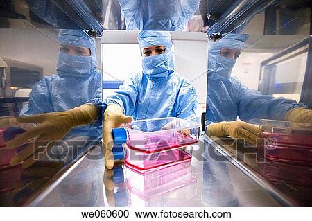 SAS window, clean room, DMEM (Dulbeco's Modified Eagle's Medium), biopharmaceutical lab, development and production of innovative drugs using adult stem cells, Cellerix, Grupo Genetrix, Madrid View Large Photo Image Stock Image - SAS window, clean room, DMEM (Dulbeco's Modified Eagle's Medium), biopharmaceutical lab, development and production of innovative drugs using adult stem cells, Cellerix, Grupo Genetrix, Madrid. Fotosearch
