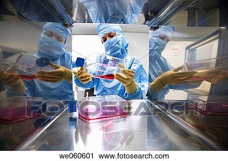 SAS window, clean room, DMEM (Dulbeco's Modified Eagle's Medium), biopharmaceutical lab, development and production of innovative drugs using adult stem cells, Cellerix, Grupo Genetrix, Madrid View Large Photo Image Stock Image - SAS window, clean room, DMEM (Dulbeco's Modified Eagle's Medium), biopharmaceutical lab, development and production of innovative drugs using adult stem cells, Cellerix, Grupo Genetrix, Madrid. Fotosearch