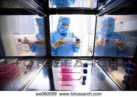 Stock Photo - SAS window, clean room, DMEM (Dulbeco's Modified Eagle's Medium), biopharmaceutical lab, development and production of innovative drugs using adult stem cells, Cellerix, Grupo Genetrix, Madrid. Fotosearch