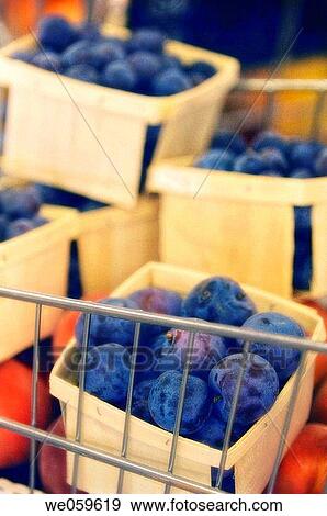 Shopping on a garden market. Boxed Blue plums. Prunus hybrid. August 2006, Maryland, USA View Large Photo Image Stock Photo - Shopping on a garden market. Boxed Blue plums. Prunus hybrid. August 2006, Maryland, USA. Fotosearch
