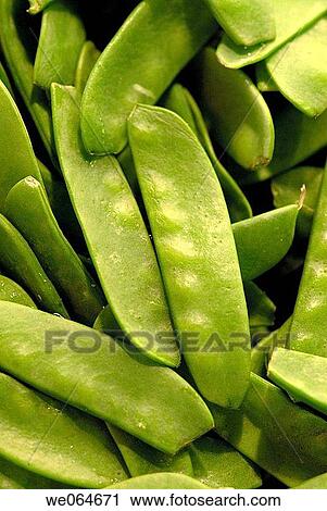 Snow peas at La Boqueria market, Barcelona. Catalonia, Spain View Large Photo Image Stock Image - Snow peas at La Boqueria market, Barcelona. Catalonia, Spain. Fotosearch