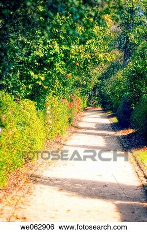 Spring Path. March 2007, South Carolina, USA View Large Photo Image Stock Photograph - Spring Path. March 2007, South Carolina, USA. Fotosearch