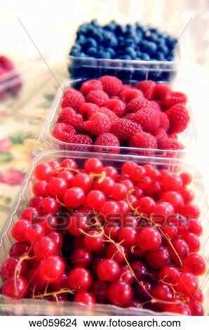 Picture - Supermarket berries. Red currantsm raspberries, blueberries. Ribes rubrum, Rubus idaeus, Vaccinium corymbosum. January 2007, Maryland, USA. Fotosearch