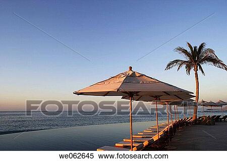 Stock Photography - Swimming pool, Los Cabos. Baja California Sur, Mexico. Fotosearch