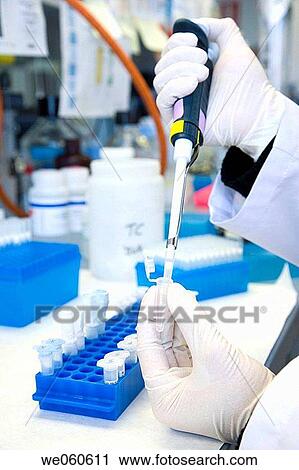 Taking samples, biopharmaceutical lab, development of new therapeutic molecules based on human antibodies for the treatment of infectious and inflammatory diseases, Biotherapix, Grupo Genetrix, Madrid View Large Photo Image Stock Image - Taking samples, biopharmaceutical lab, development of new therapeutic molecules based on human antibodies for the treatment of infectious and inflammatory diseases, Biotherapix, Grupo Genetrix, Madrid. Fotosearch
