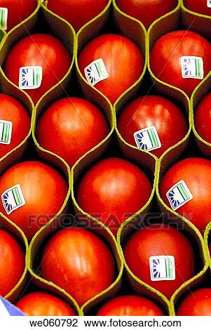 Tamarillos, Cyphomandra betßcea. La Boquer? a market. Barcelona. Spain. View Large Photo Image Stock Image - Tamarillos, Cyphomandra betßcea. La Boquer? a market. Barcelona. Spain.. Fotosearch