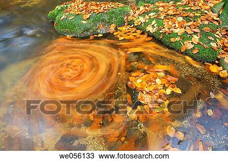 The brook? Kleine Ohe? (Small Ohe) leaves in rotary motion at surface of the water at autumn. Bavarian Forest National Park, Bavaria, Germany, Europe. View Large Photo Image Stock Image - The brook? Kleine Ohe? (Small Ohe) leaves in rotary motion at surface of the water at autumn. Bavarian Forest National Park, Bavaria, Germany, Europe.. Fotosearch