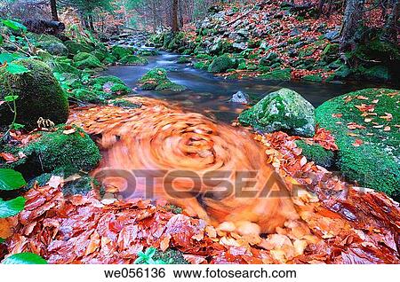 The brook? Kleine Ohe? (Small Ohe) leaves in rotary motion at surface of the water at autumn. Bavarian Forest National Park, Bavaria, Germany, Europe. View Large Photo Image Stock Photograph - The brook? Kleine Ohe? (Small Ohe) leaves in rotary motion at surface of the water at autumn. Bavarian Forest National Park, Bavaria, Germany, Europe.. Fotosearch