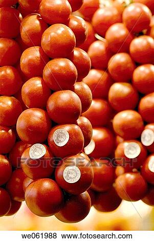 Tomatoes at La Boqueria market, Barcelona. Catalonia, Spain View Large Photo Image Stock Photo - Tomatoes at La Boqueria market, Barcelona. Catalonia, Spain. Fotosearch