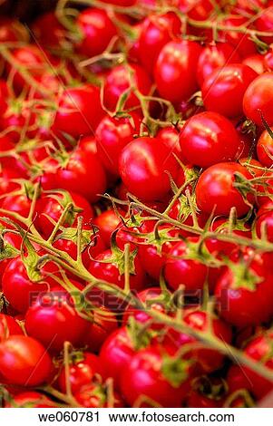 Tomatoes. La Boquer? a market. Barcelona. Spain. View Large Photo Image Stock Image - Tomatoes. La Boquer? a market. Barcelona. Spain.. Fotosearch