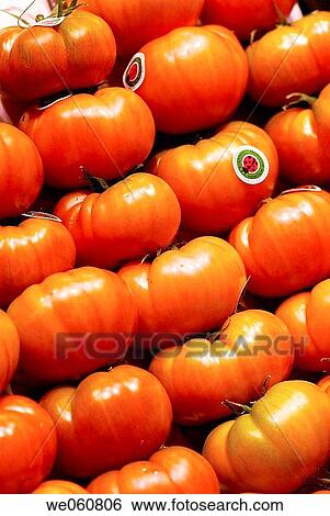 Tomatoes. La Boquer? a market. Barcelona. Spain. View Large Photo Image Stock Photograph - Tomatoes. La Boquer? a market. Barcelona. Spain.. Fotosearch