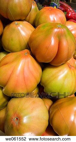 Tomatoes? Raf? (Solanum lycopersicum) View Large Photo Image Stock Image - Tomatoes? Raf? (Solanum lycopersicum). Fotosearch