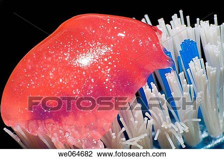 Stock Image - Toothpaste. Fotosearch