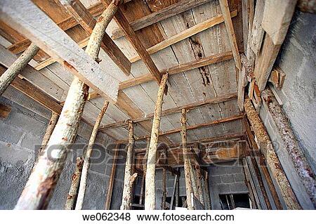 Tree scaffolding View Large Photo Image Stock Photo - Tree scaffolding. Fotosearch