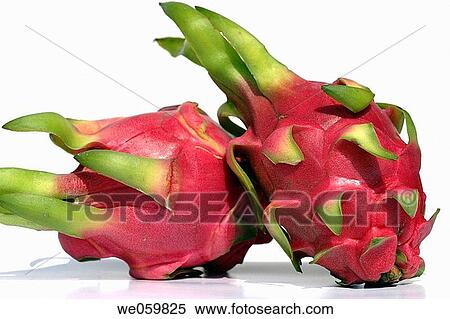 Two red dragon fruits (Hylocereus undatus) laying on top of each other, Asia View Large Photo Image Stock Photography - Two red dragon fruits (Hylocereus undatus) laying on top of each other, Asia. Fotosearch