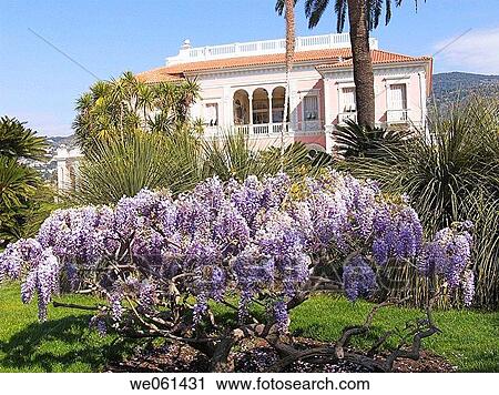 Villa Ephrussi de Rothschild, Saint-Jean-Cap-Ferrat. French Riviera, Alpes-Maritimes, France View Large Photo Image Stock Image - Villa Ephrussi de Rothschild, Saint-Jean-Cap-Ferrat. French Riviera, Alpes-Maritimes, France. Fotosearch