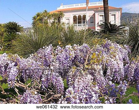 Villa Ephrussi de Rothschild, Saint-Jean-Cap-Ferrat. French Riviera, Alpes-Maritimes, France View Large Photo Image Stock Image - Villa Ephrussi de Rothschild, Saint-Jean-Cap-Ferrat. French Riviera, Alpes-Maritimes, France. Fotosearch