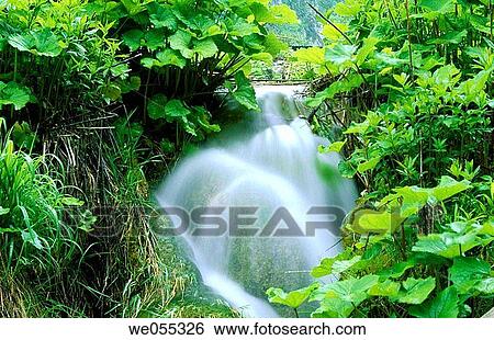 Waterfall in Plitvice Lakes National Park. Croatia View Large Photo Image Stock Photograph - Waterfall in Plitvice Lakes National Park. Croatia. Fotosearch