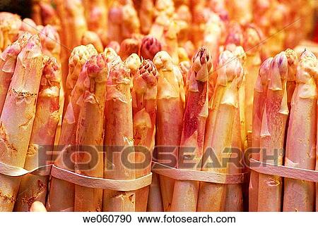 Stock Image - White asparagus. La Boquer? a market. Barcelona. Spain.. Fotosearch
