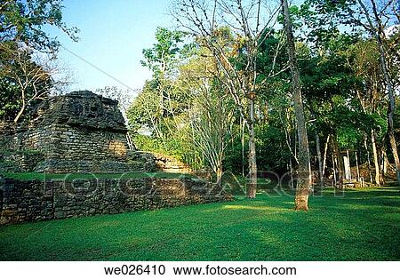 Yaxchilan. Mexico View Large Photo Image Stock Image - Yaxchilan. Mexico. Fotosearch