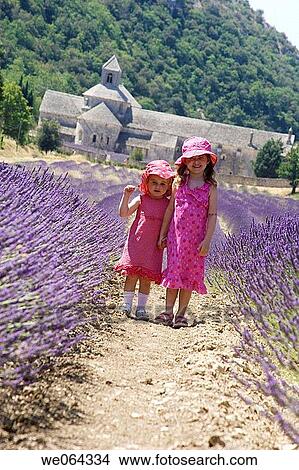 2 sisters, 3 and 5, standing in the rows of Lavender at an Abbey in Provence View Large Photo Image Picture - 2 sisters, 3 and 5, standing in the rows of Lavender at an Abbey in Provence. Fotosearch