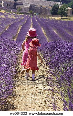 2 sisters playing in the rows of Lavender at an Abbey in Provence View Large Photo Image Stock Image - 2 sisters playing in the rows of Lavender at an Abbey in Provence. Fotosearch