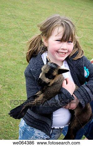 6 year old girl holding a baby lamb, smiling into camera View Large Photo Image Stock Photograph - 6 year old girl holding a baby lamb, smiling into camera. Fotosearch