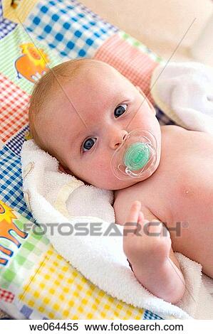 8 week old baby, gazing into the camera, sucking a dummy View Large Photo Image Stock Photography - 8 week old baby, gazing into the camera, sucking a dummy. Fotosearch