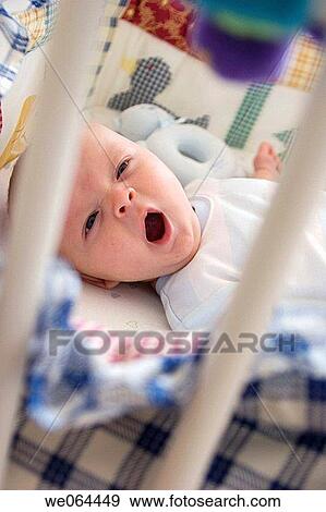 8 week old baby lying in his cot yawning into camera View Large Photo Image Stock Photo - 8 week old baby lying in his cot yawning into camera. Fotosearch