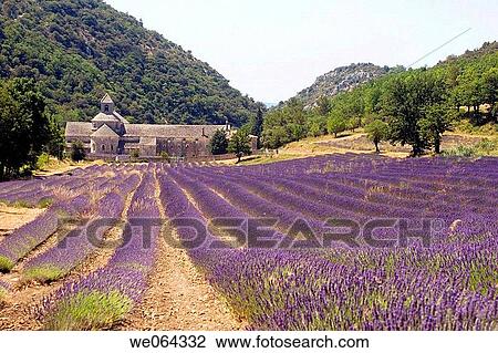 Stock Image - Abbey in Provence, France. Fotosearch