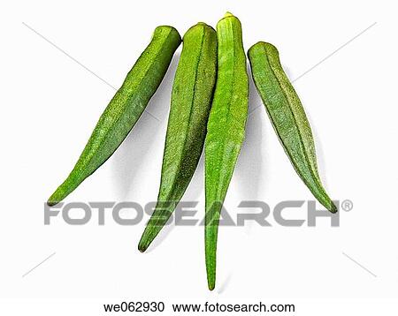 Abelmoschus esculentus. Lady Finger. Pune, Maharashtra, India. View Large Photo Image Stock Image - Abelmoschus esculentus. Lady Finger. Pune, Maharashtra, India.. Fotosearch