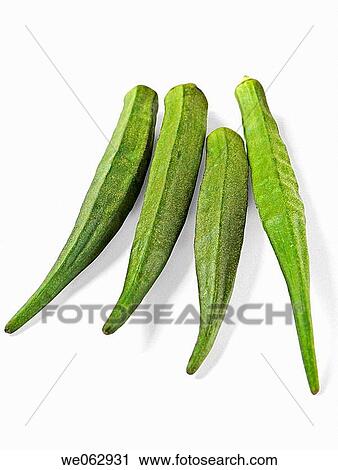 Abelmoschus esculentus. Lady Finger. Pune, Maharashtra, India. View Large Photo Image Stock Image - Abelmoschus esculentus. Lady Finger. Pune, Maharashtra, India.. Fotosearch
