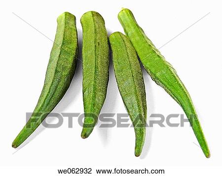 Abelmoschus esculentus. Lady Finger. Pune, Maharashtra, India. View Large Photo Image Stock Image - Abelmoschus esculentus. Lady Finger. Pune, Maharashtra, India.. Fotosearch