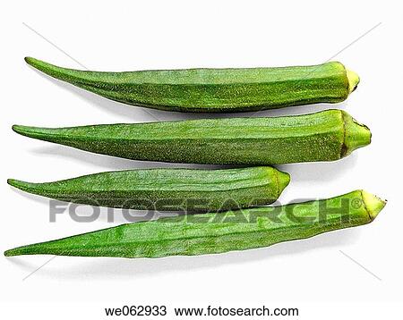 Abelmoschus esculentus. Lady Finger. Pune, Maharashtra, India. View Large Photo Image Stock Image - Abelmoschus esculentus. Lady Finger. Pune, Maharashtra, India.. Fotosearch