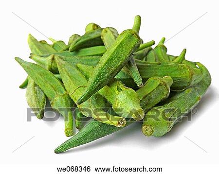 Abelmoschus esculentus. Lady Finger. Pune, Maharashtra, India. View Large Photo Image Stock Photograph - Abelmoschus esculentus. Lady Finger. Pune, Maharashtra, India.. Fotosearch