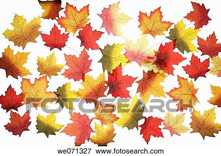 Autumn's leaves. View Large Photo Image Stock Photo - Autumn's leaves.. Fotosearch