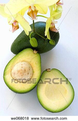 Stock Photo - Avocado and orchid. Fotosearch