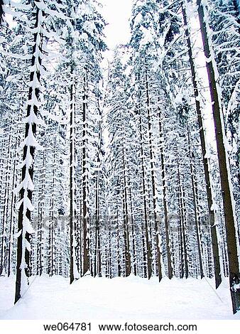 background, cold, coldness, covered, day View Large Photo Image Stock Image - background, cold, coldness, covered, day. Fotosearch