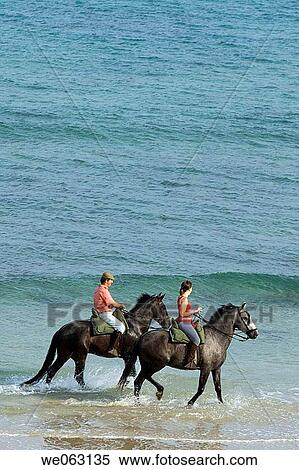 Stock Photography - beach, contemporary, companion, animal. Fotosearch