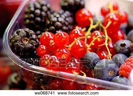 Berries for sale at La Boqueria market, Barcelona. Catalonia, Spain View Large Photo Image Stock Image - Berries for sale at La Boqueria market, Barcelona. Catalonia, Spain. Fotosearch