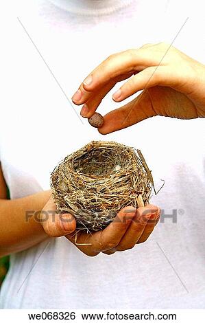 bird, Close-up, concept View Large Photo Image Stock Photograph - bird, Close-up, concept. Fotosearch