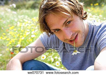 Stock Image - bite, biting, calm, chrysanthemum. Fotosearch