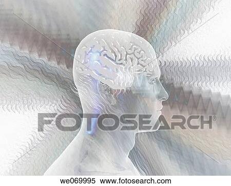 Brainwaves View Large Photo Image Stock Photography - Brainwaves. Fotosearch
