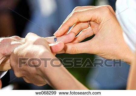 Bride putting wedding ring on groom's finger View Large Photo Image Stock Photo - Bride putting wedding ring on groom's finger. Fotosearch
