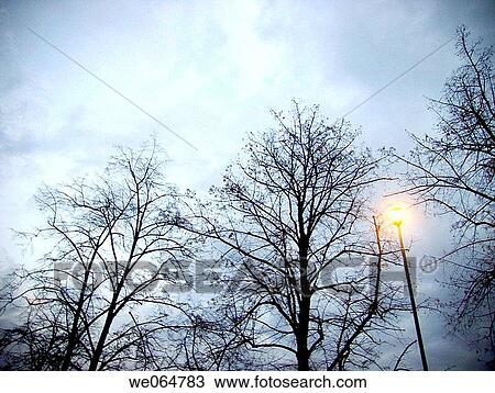 canopy, cloud, concept, day View Large Photo Image Stock Image - canopy, cloud, concept, day. Fotosearch