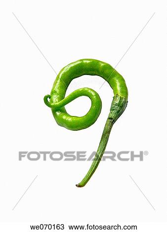 Capsicum annuum - Common Chili. Common vegetable. View Large Photo Image Stock Image - Capsicum annuum - Common Chili. Common vegetable.. Fotosearch