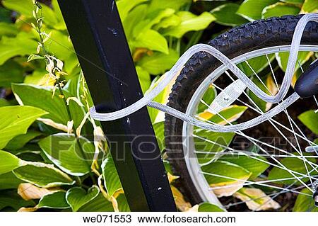 Close-up of a bicycle wheel chained to a post. View Large Photo Image Stock Image - Close-up of a bicycle wheel chained to a post.. Fotosearch